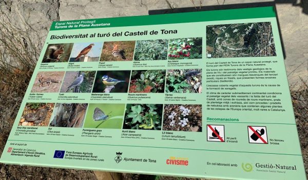 Tona IMG-20221124-WA0005AA